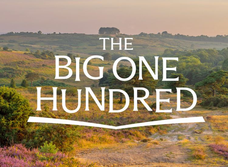 A logo reading 'The Big One Hundred', against a background of a forest